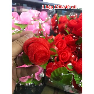 hoa cài áo hai họ