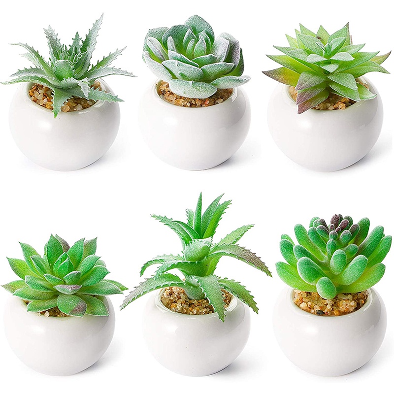 Cây Mọng Nước Nhân Tạo Mini Dễ Thương Dùng Trang Trí Bàn Làm Việc