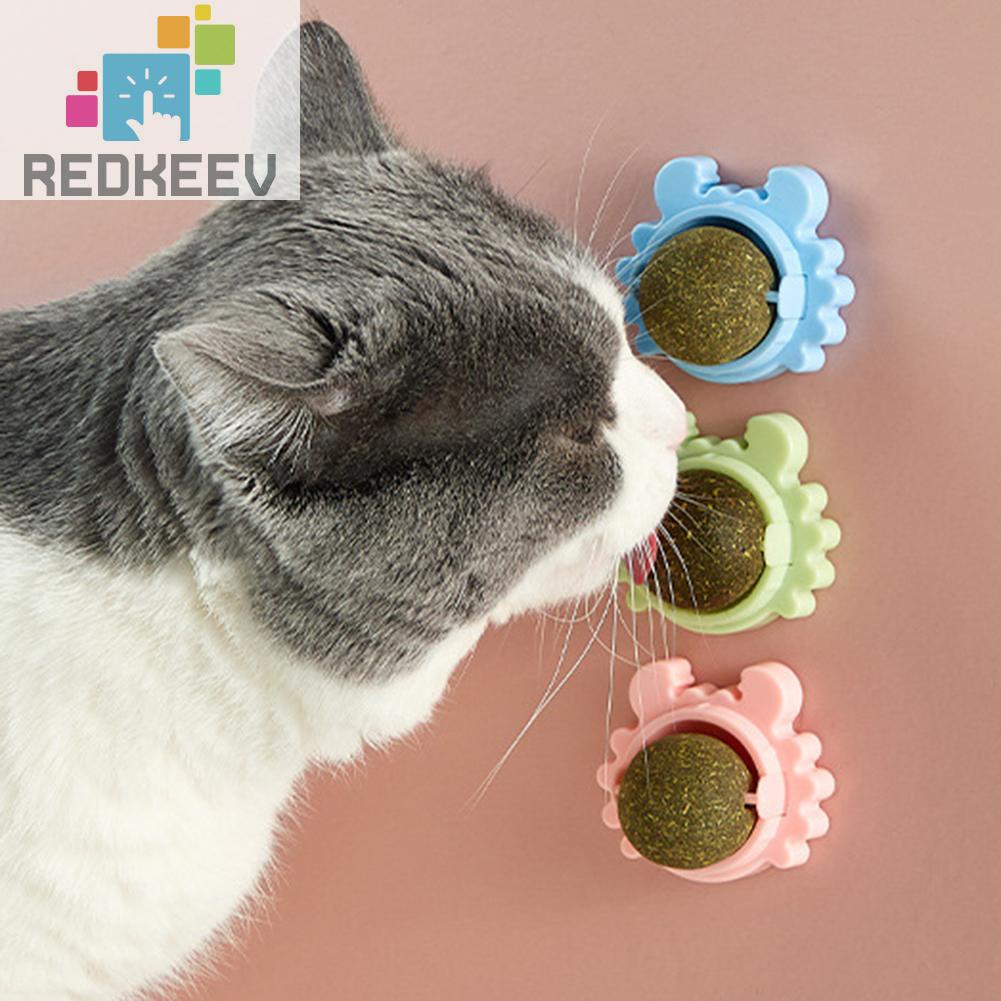 Quả Bóng Đồ Chơi Nhai Cắn Có Thể Xoay Được Cho Mèo Cưng