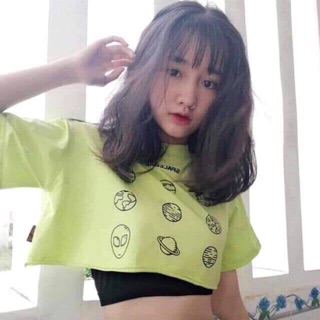 Áo crop tay lỡ ( kèm clip hình thật )