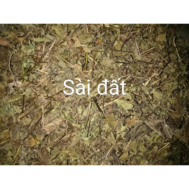 1kg sài đất khô