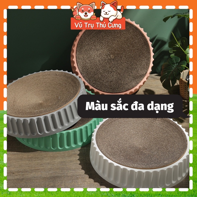 Ổ nằm kết hợp bàn cào móng cho Mèo