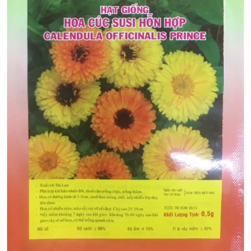 Hạt giống HOA CÚC SUSI nhiều màu - Gói 0,5 gram