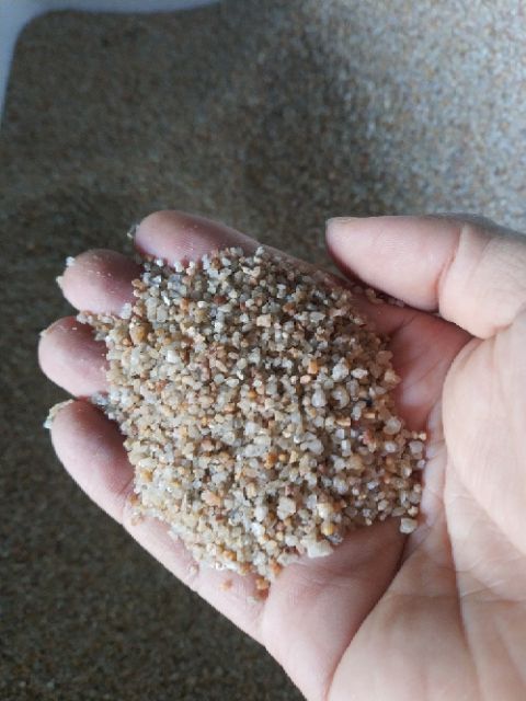 Cát Nắng Vàng size nhuyễn - lớn