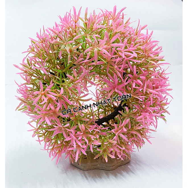 RONG GIẢ NHÂN TẠO VÒNG TRÒN TRANG TRÍ BỂ CÁ NON BỘ CAO 15CM