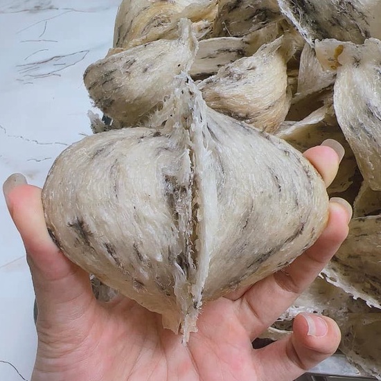 Tổ Yến Thô Nguyên Chất Khánh Hòa 100g Tổ Yến Thô Ít Lông Yến Thô Nguyên Tổ Khánh Hòa