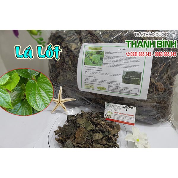 Lá Lốt Khô 1Kg - Thuốc Nam Thanh Bình