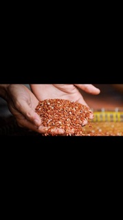 500GRAM GẠO LỨT SẤY GIÒN