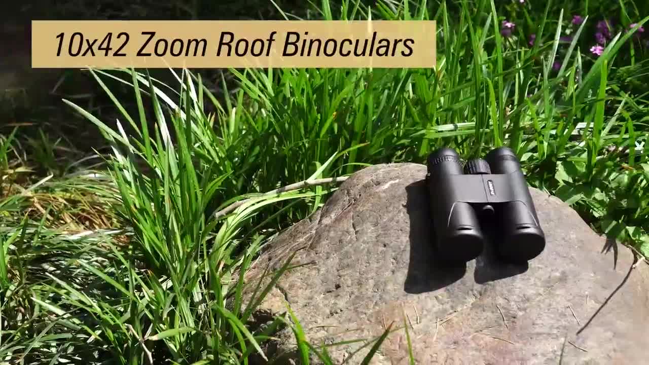 Ống nhòm công suất cao SVBONY SA202 10x42 Ống kính FMC Dây đeo cổ Túi đựng tầm xa nhỏ gọn dành cho người lớn và bắt ong Xem chim Đi bộ đường dài Buổi hòa nhạc cắm trại | BigBuy360 - bigbuy360.vn