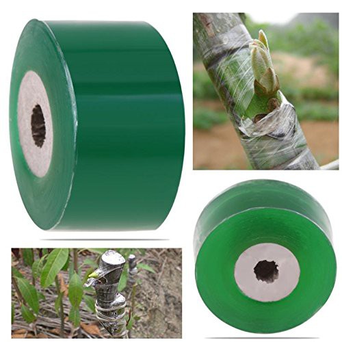 Bộ 5 cuộn băng keo ghép cây tự dính màu xanh