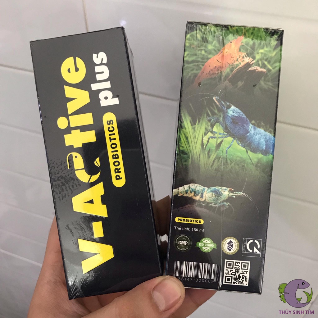 Vi Sinh Tép V-Active Plus