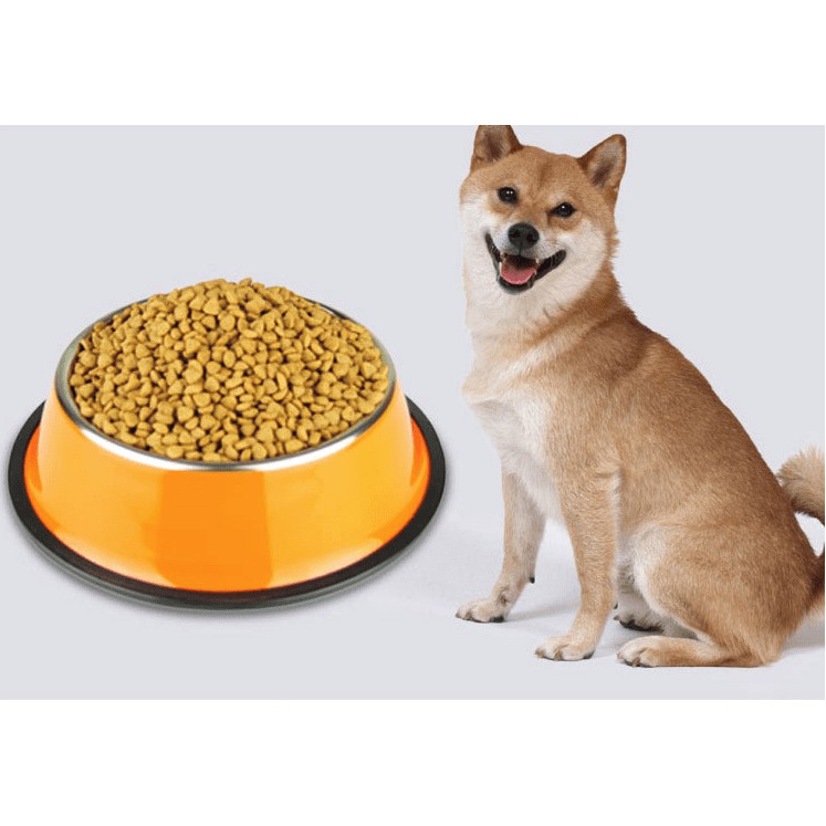 Doremiu- Bát ăn chó mèo bằng inox SƠN MÀU (bảo hành 12 tháng gỉ sét hoàn tiền 100%) có đế cao su