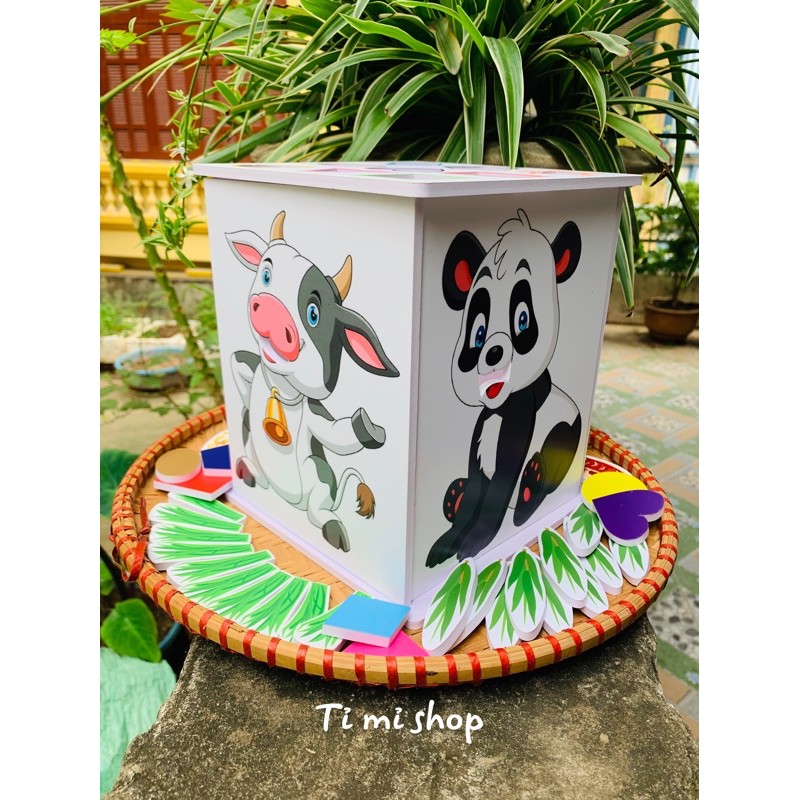 Set làm hộp cho thú ăn giao ngẫu nhiên
