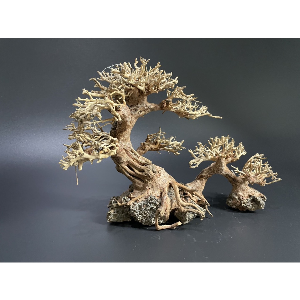 Lũa Bonsai, Lũa thủy sinh dùng trang trí hồ cá cảnh, hồ thủy sinh, văn phòng, nhà cửa