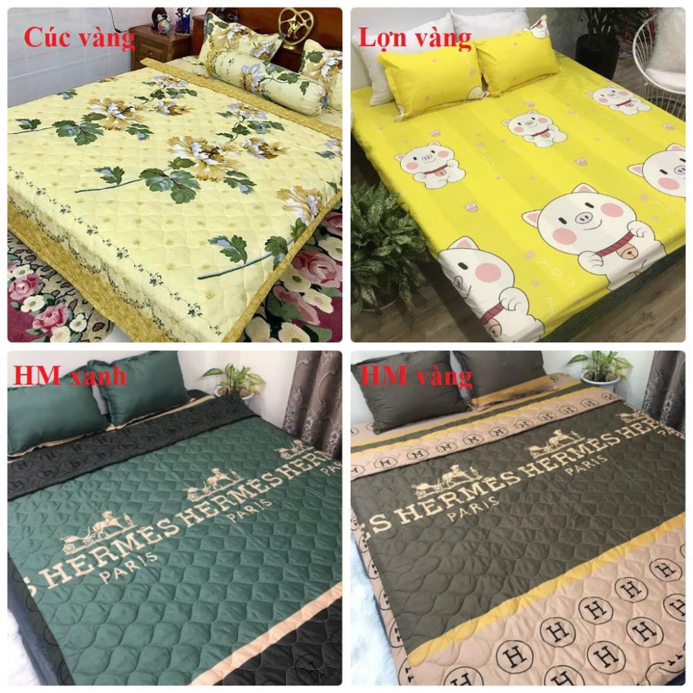 Ga Goi HCM Chăn hè Poly Cotton - nhiều mẫu lựa chọn