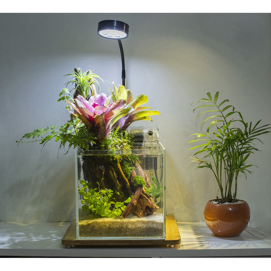 Đèn đế gỗ cao cấp 3w/5w/5W RGB/7w/7w RGB/7w_1m/9w_1m/12WRGB_1m