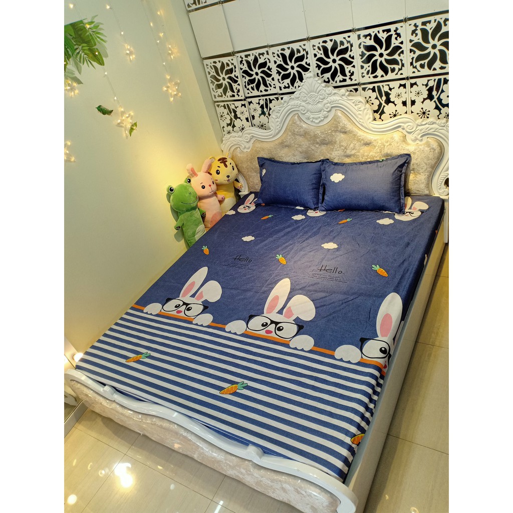 Bộ ga gối 💖m6/m8💖 ga trải giường cute + 2 vỏ gối nằm cute An Như Bedding | BigBuy360 - bigbuy360.vn