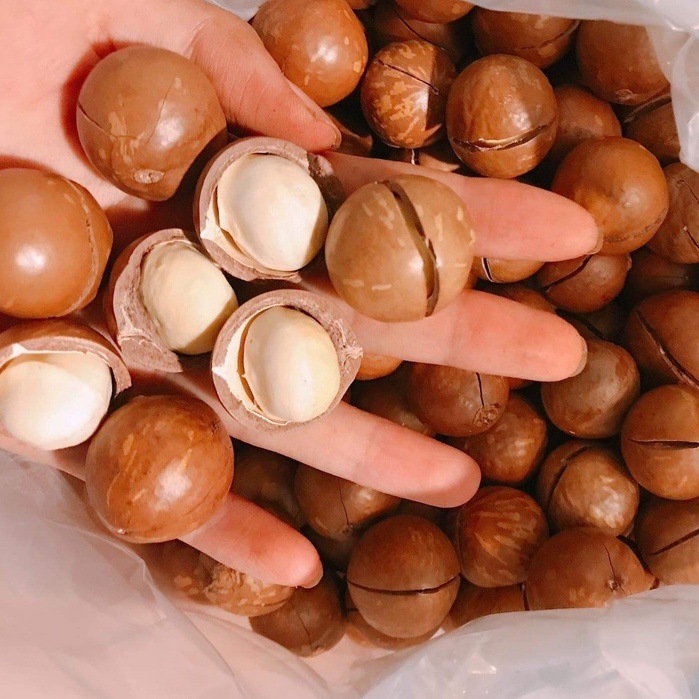 [Size Đại] Macca Đắk Lắk Organic sạch nhà trồng size quả to loại 1 - Giòn tan béo bùi - 500gram | BigBuy360 - bigbuy360.vn