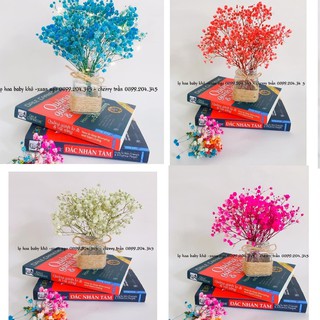 BABY KHÔ TẶNG LỌ (hoa thật sấy khô)