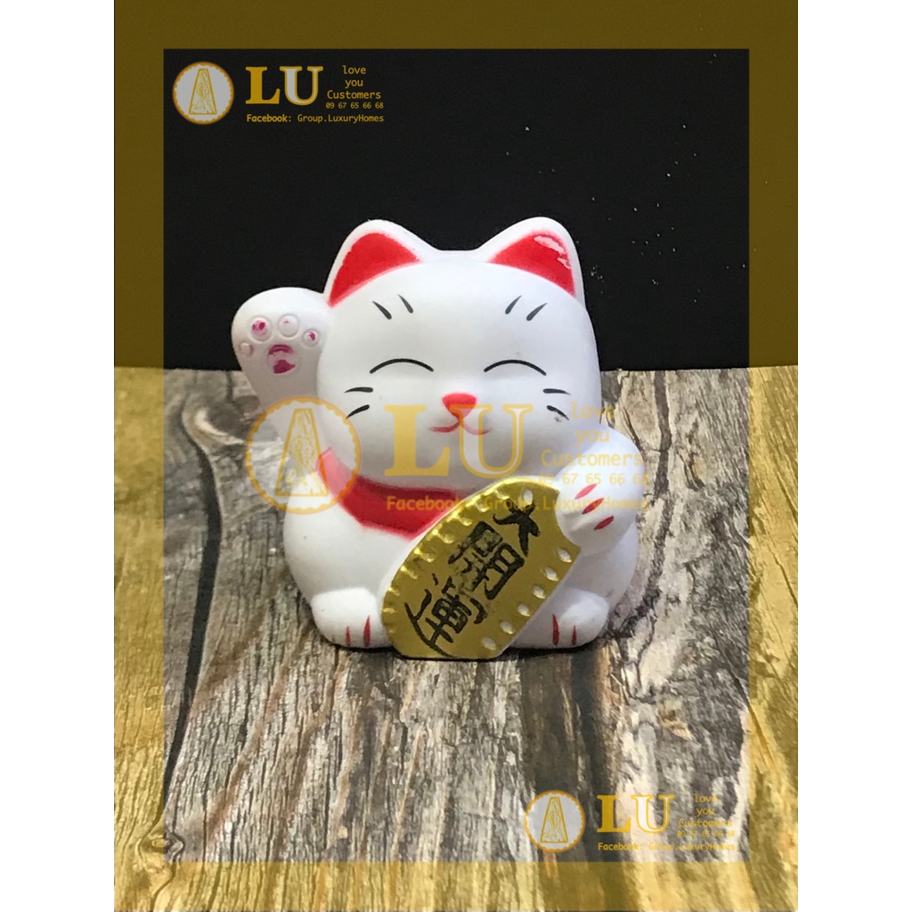 Mèo thần tài | LU