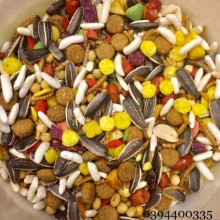 Thức ăn chuột hamster cao cấp (1kg)