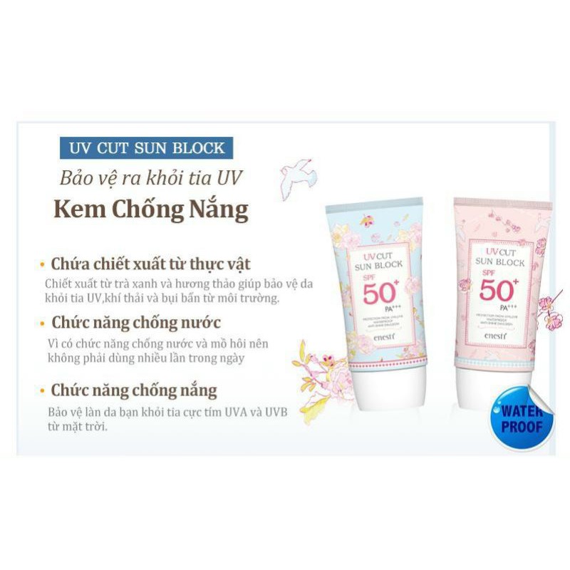 Kem chống nắng Enesti 50++