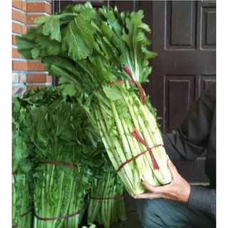 Hạt Giống Cải Mèo Hà Giang Cao Sản (20gr/ gói)