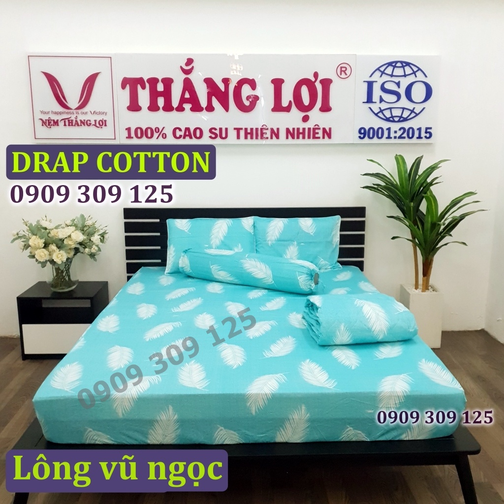 (RẺ VÔ ĐỊCH) bộ drap cotton Thắng Lợi, ga giường 100% cao cấp LÔNG VŨ NGỌC