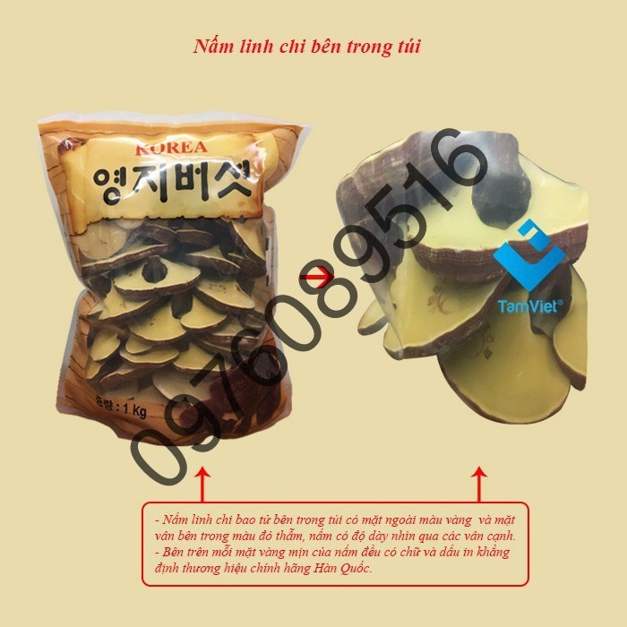 Nấm linh chi bao tử Hàn Quốc, túi 1kg