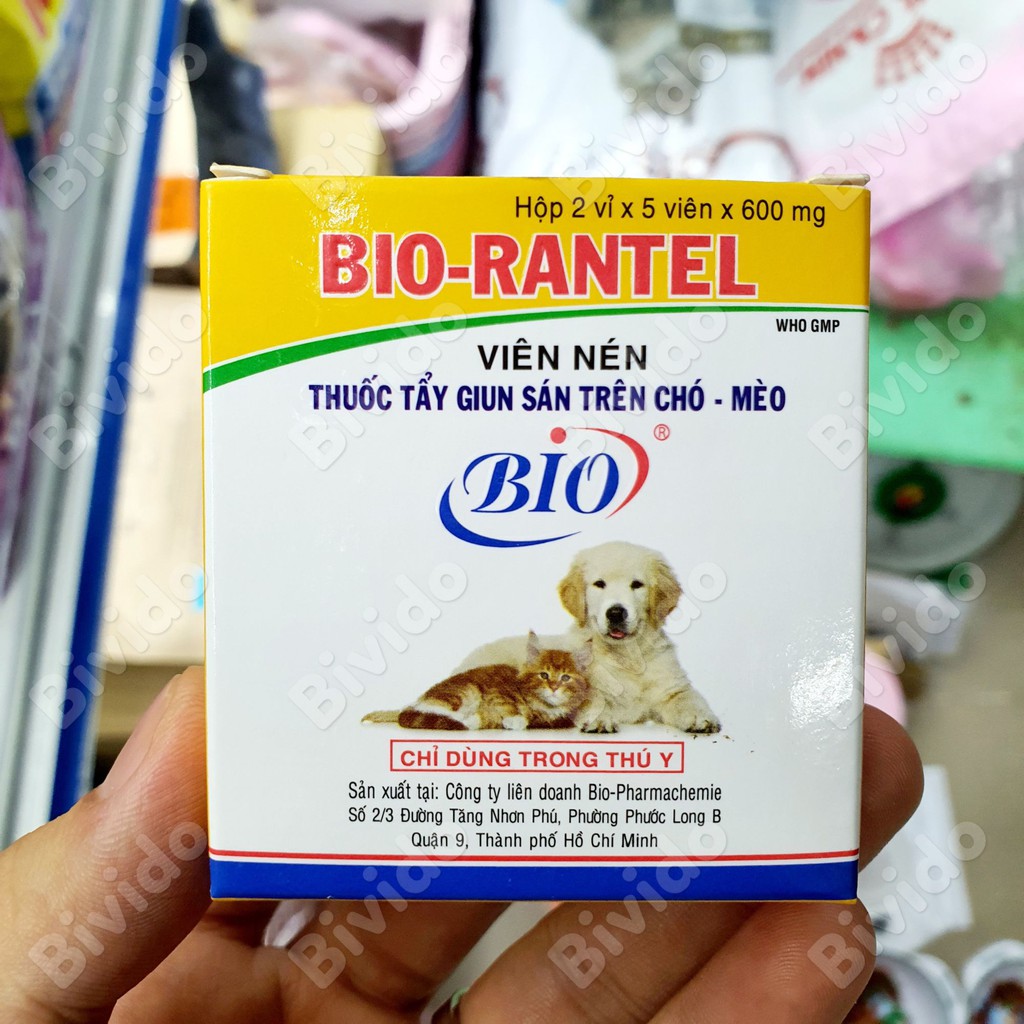 Bio-Dantel hỗ trợ đường ruột thú cưng - Bivido