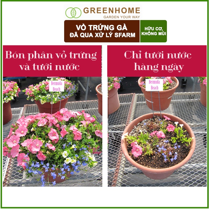 Bộ 2 Vỏ trứng gà Sfarm đã qua xử lý Bao 1kg. Giúp cây khoẻ, chống côn trùng, sâu bọ |Greenhome