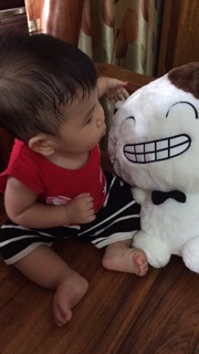Mèo MengMeng 4 sắc thái