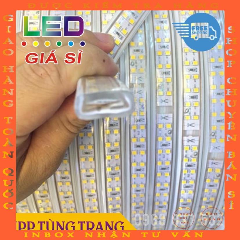 Đèn led quấn cây 2 hàng 2835 cực sáng sử dụng điện 220V bán theo mét nghiemxuyen