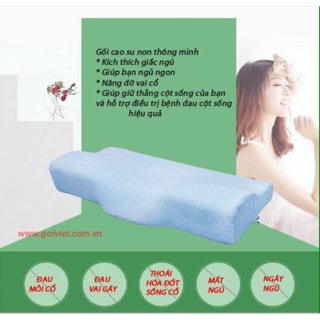 Vỏ gối cao su non gv107