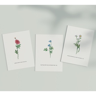 Combo 3 thiệp in hoa và lá của Ôm | Combo 3 Om's Cards