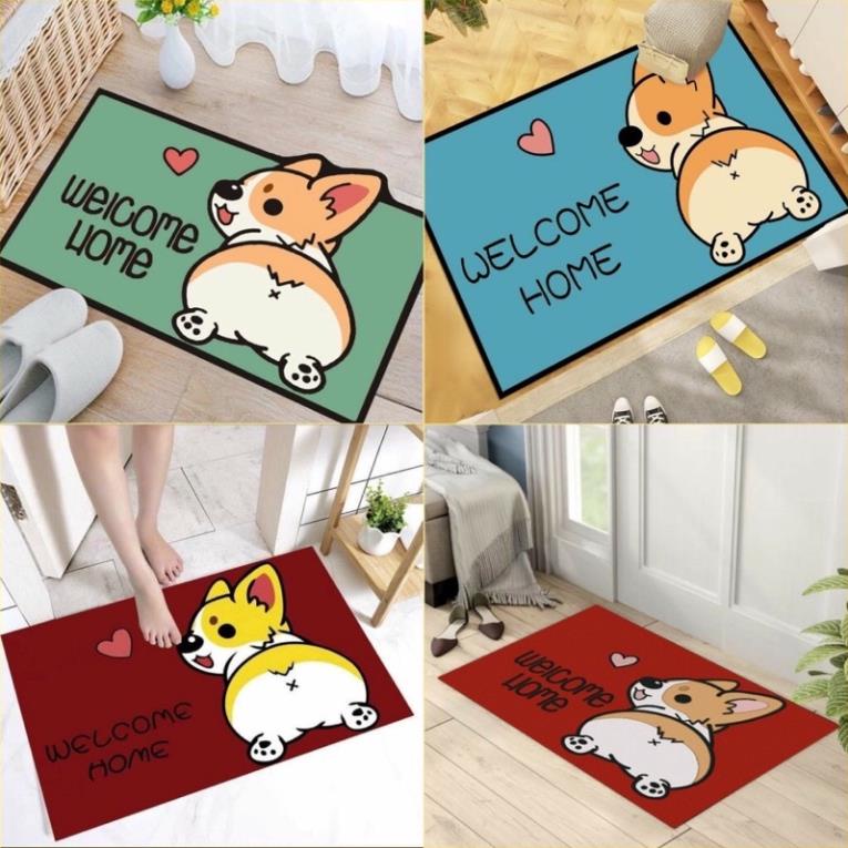 Thảm lau chân 3d thảm chùi chân 40x60cm  nhiều màu siêu ngộ nghĩnh