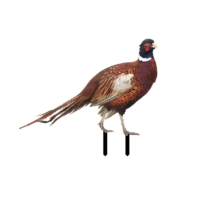 Mô Hình Tượng Động Vật Pheasants Dùng Trang Trí