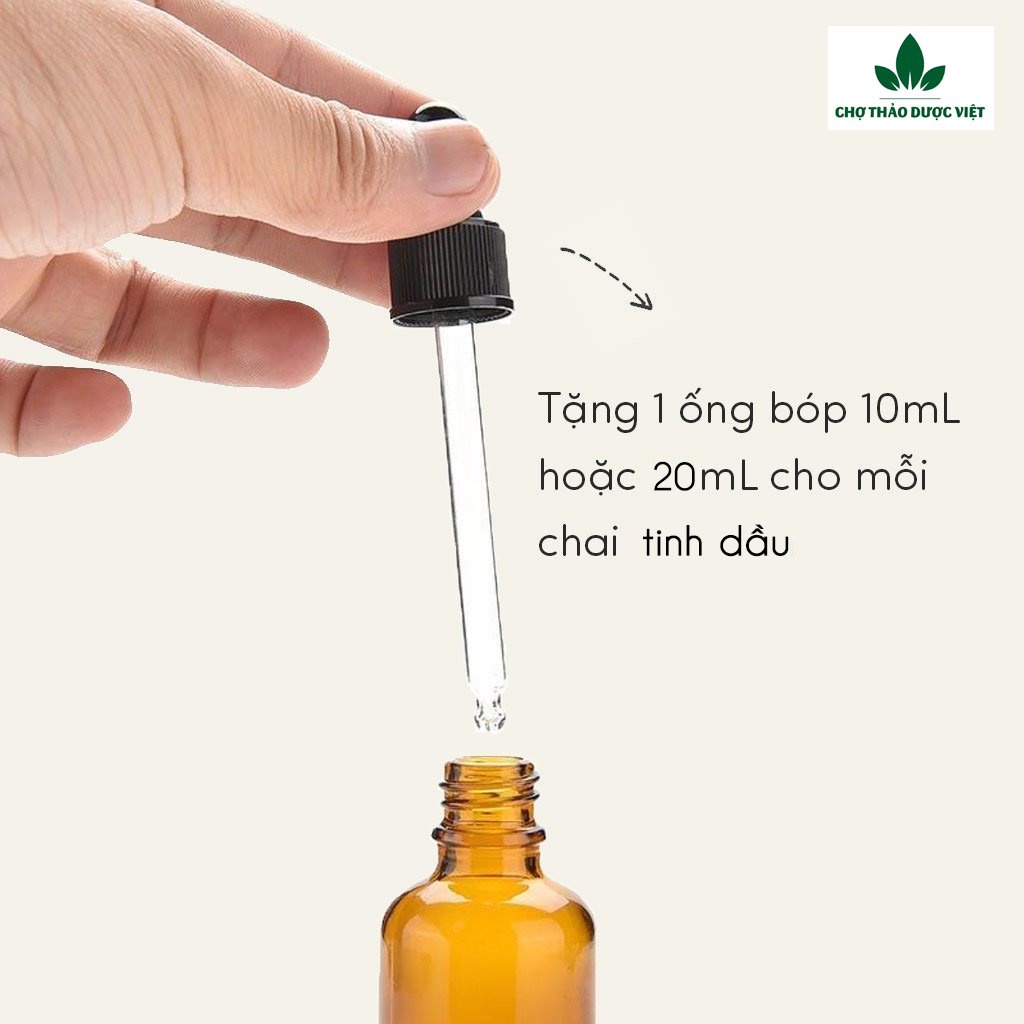 Tinh dầu Ngọc Lan Tây 100ml, cao cấp nhập khẩu, cân bằng cảm xúc, nước hoa thiên nhiên, thơm phòng - Chợ Thảo Dược Việt