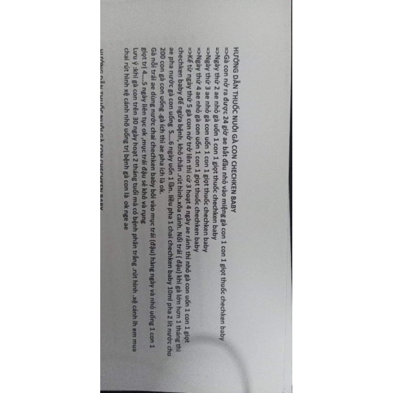 ÚM GÀ CON SIÊU ĐỈNH, CHICKEN BABY