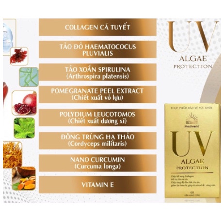 Viên uống chống nắng và bổ sung Collagen  ALGAE PROTECTION 60v / Mediworld