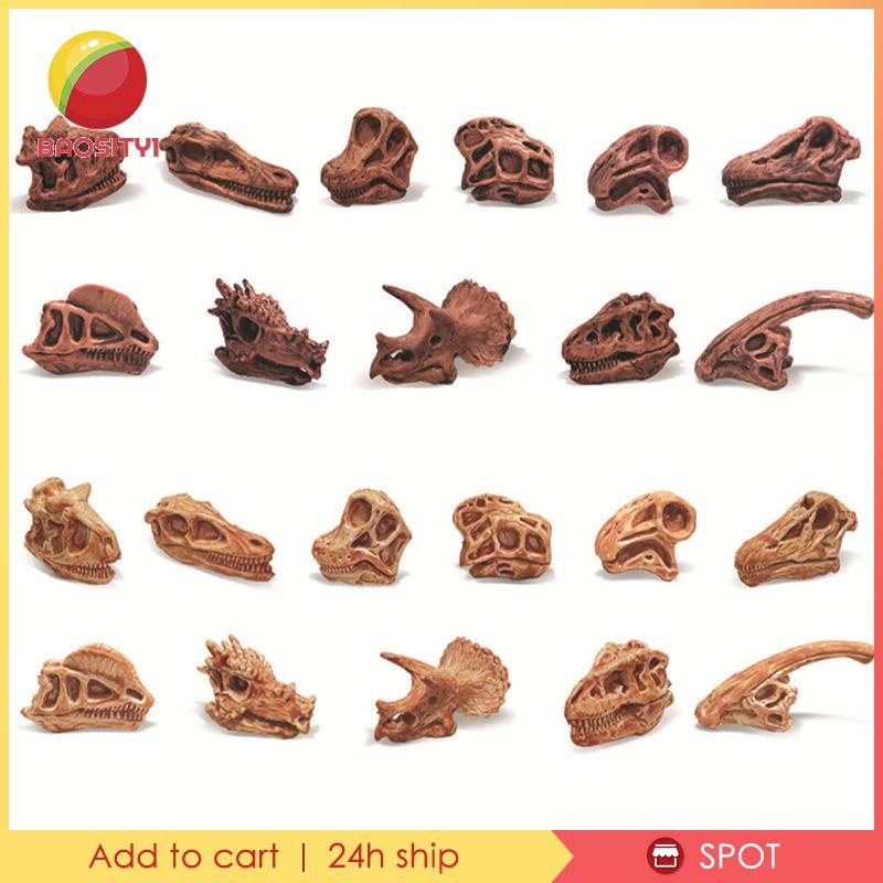 [Baosity1] Mô Hình Đầu Lâu Khủng Long Hóa Thạch Trang Trí Nội Thất Giảng Dạy