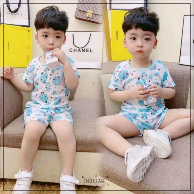 Bộ cotton giấy mẫu mới cao cấp cho bé