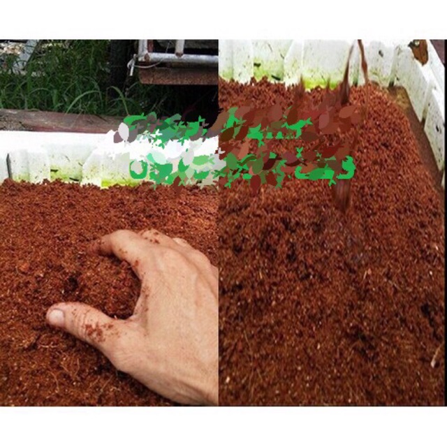 Mụn Xơ dừa / giá thể trồng rau, cây cảnh và trồng Lan