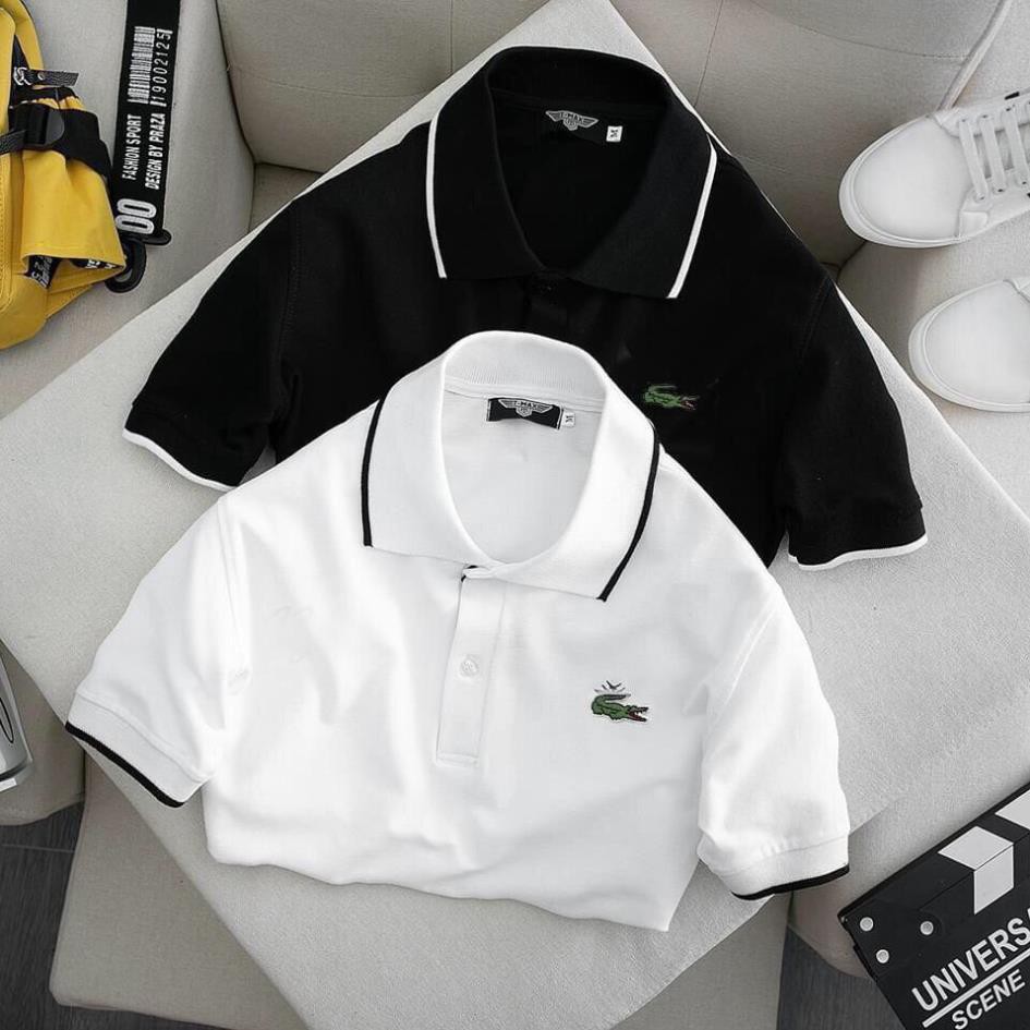 Áo phông nam có cổ polo cộc tay cao cấp Hamino vải thun cotton co giãn màu trắng đen đẹp ôm dáng thời trang Hàn Quốc E1 | BigBuy360 - bigbuy360.vn