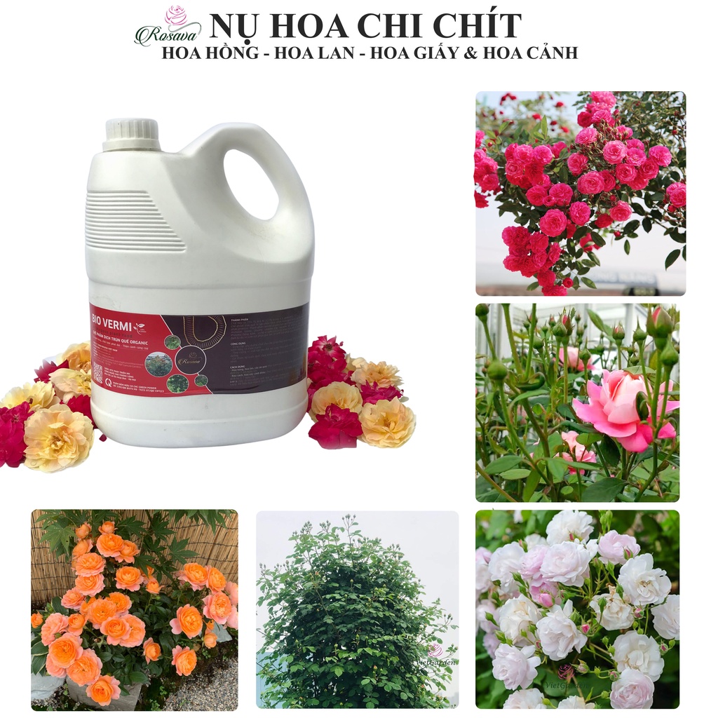 Phân dịch trùn quế hữu cơ vi sinh đậm đặc Rosava 4lít bón hoa hồng, lan, giấy, sen đá, mai và cây cảnh