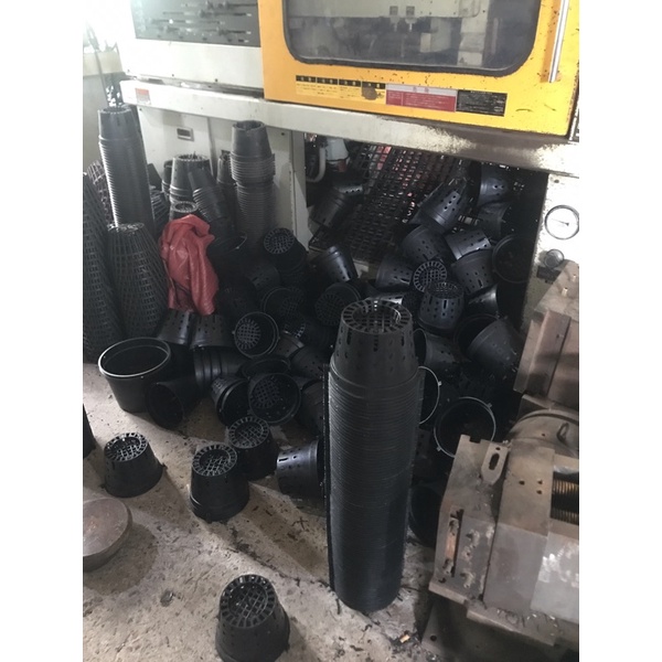 Chậu trồng lan Đen phi 12cm/14cm/16cm/18cm/21cm