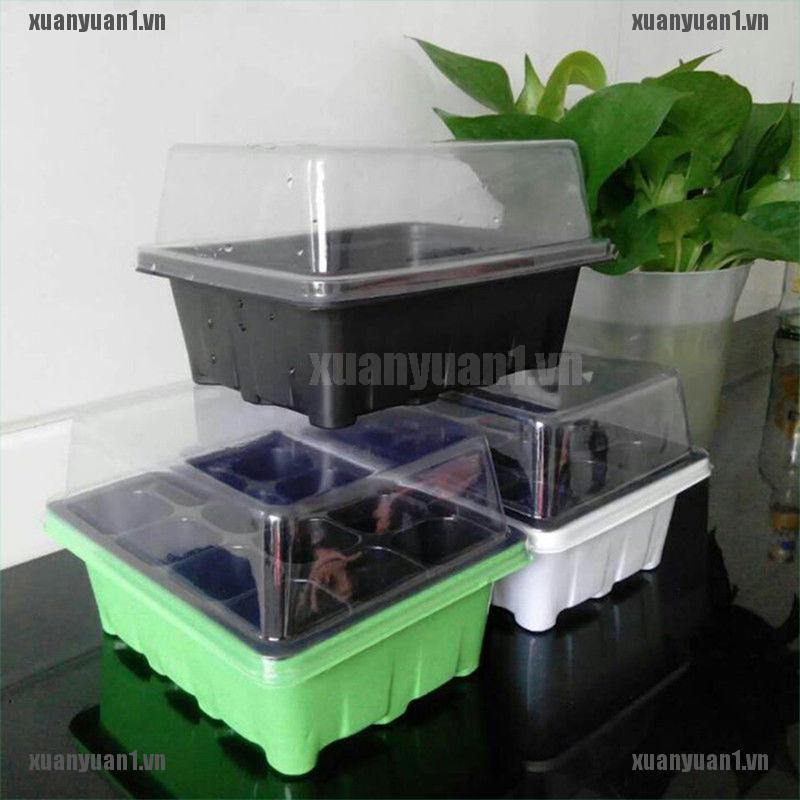 Set 3 Khay Gieo Hạt Trồng Cây 12 Ngăn Tiện Dụng