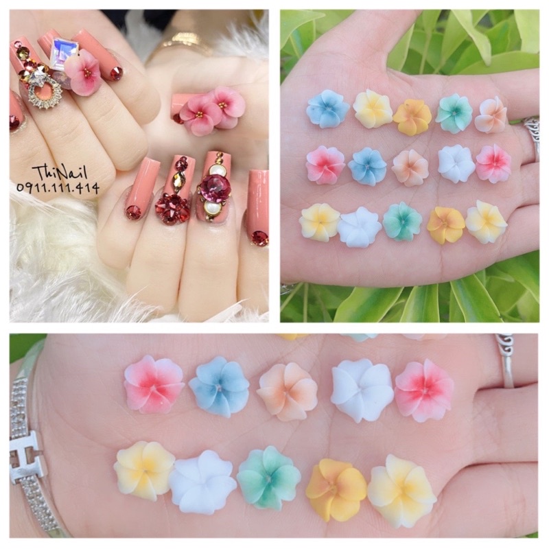 Hoa Bột Nails - Đậu