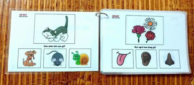 Bộ học liệu hỗ trợ phát triển ngôn ngữ tư duy