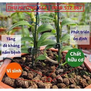 Gói 1KG Phân Trùn Quế Viên Nến Tan Chậm Cao Cấp